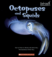 Octopuses and Squids
