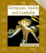 Octopuses, Squids, and Cuttlefish