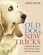 Old Dog, New Tricks: Understanding and Retraining Older and Rescued Dogs