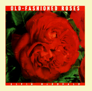 Old-Fashioned Roses - 