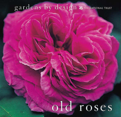 Old Roses - Murphy, Graham