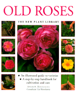 Old Roses - Mikolajski, Andrew