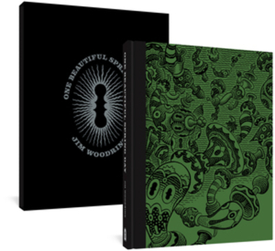 One Beautiful Spring Day Limited Edition - Woodring, Jim