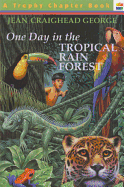 One Day in the Tropical Rain Forest