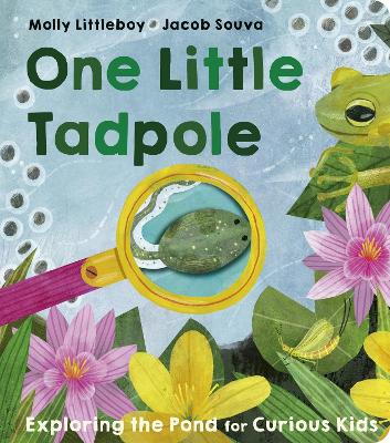 One Little Tadpole - Littleboy, Molly, and Souva, Jacob (Illustrator)