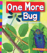 One More Bug: An Insect Addition Book