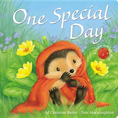 One Special Day - Butler, M Christina