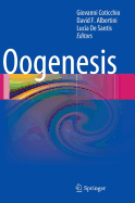 Oogenesis