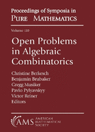 Open Problems in Algebraic Combinatorics