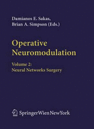 Operative Neuromodulation: Volume 2: Neural Networks Surgery