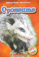 Opossums