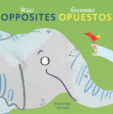 Opposites/Opuestos - Mlawer, Teresa (Translated by)
