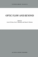 Optic Flow and Beyond