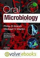 Oral Microbiology