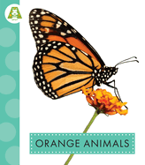 Orange Animals