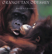 Orangutan Odyssey
