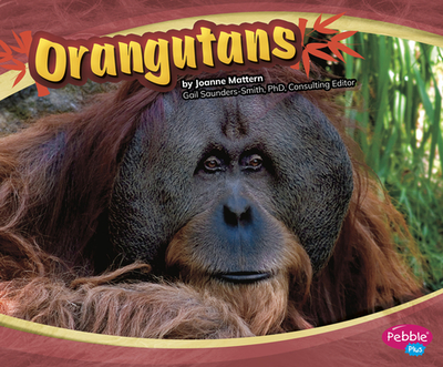 Orangutans - Mattern, Joanne