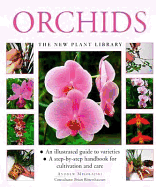Orchids