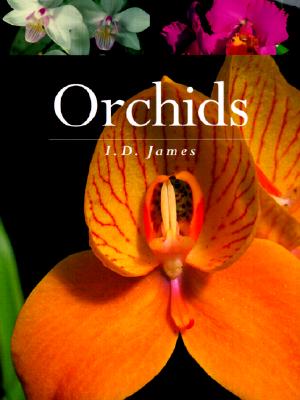 Orchids - James, I