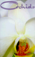 Orchids - Appell, Scott D (Introduction by), and Kane, Dency (Photographer)