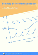 Ordinary Differential Equations: A Brief Eclectic Tour