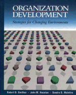 Organization Development: Strategies for Changing Environments