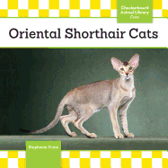 Oriental Shorthair Cats