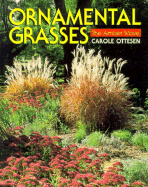 Ornamental Grasses: The Amber Wave