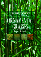 Ornamental Grasses