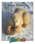 Osos Polares