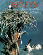Ospreys Rnf
