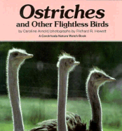Ostriches and Other Flightless Birds