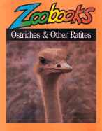 Ostriches