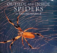 Outside Inside