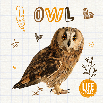 Owl - Tyler, Madeline