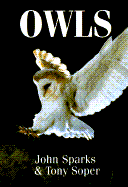 Owls
