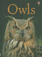 Owls