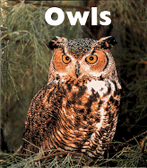 Owls