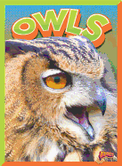 Owls