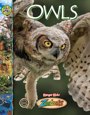 Owls - Biel, Timothy Levi