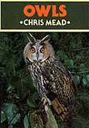 Owls