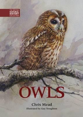 Owls - Mead, Chris, and Toms, Mike (Revised by)