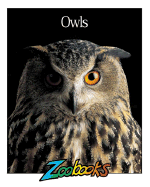 Owls