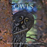 Owls