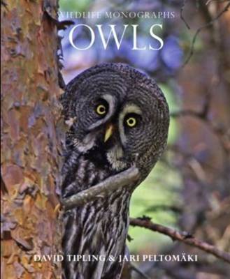 Owls - Tipling, David, and Peltomaki, Jari