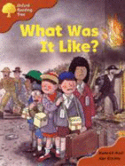 Oxford Reading Tree: Stage 8: More Storybooks A: What Was it Like?