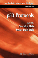 P53 Protocols