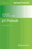 P53 Protocols