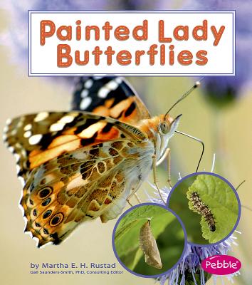 Painted Lady Butterflies - Rustad, Martha E H