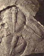 Palaeobiology: A Synthesis